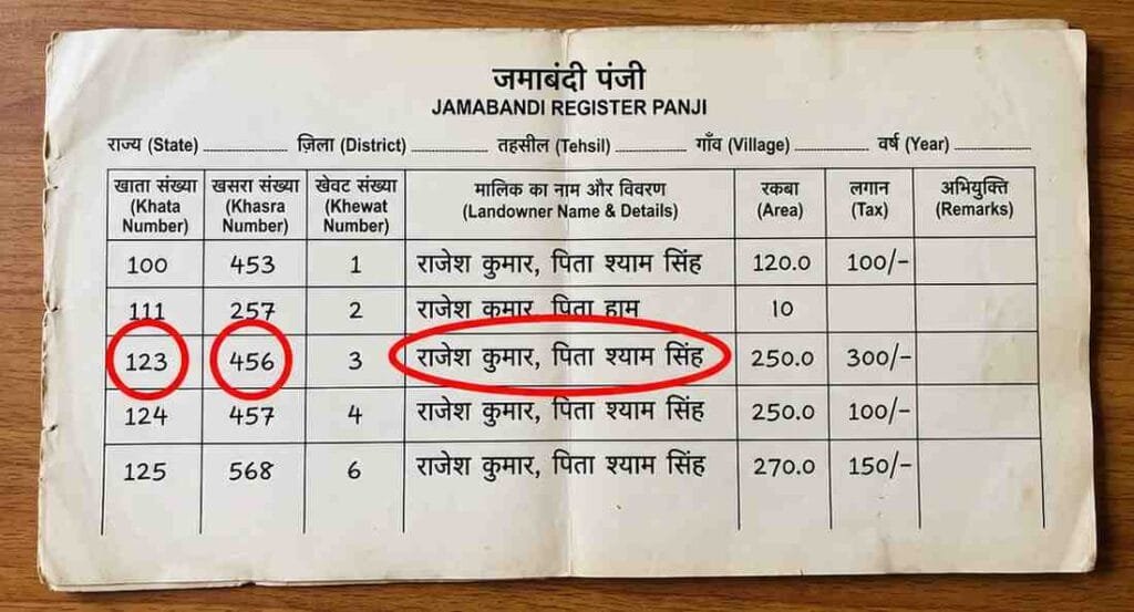 Online form to check Jamabandi panji details